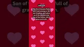 Journey of faith and spiritual growth | John 1:14 Daily Bible Verse