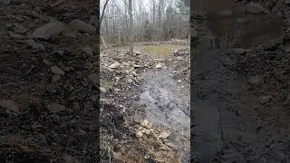 Pond Build Update