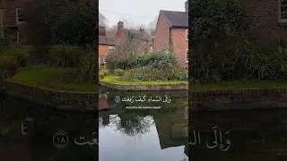 Quranic wisdom #allah #islam #winterwalk #uk