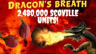 2.48M SHU: My Mouth on Fire from the Dragon's Breath Pepper