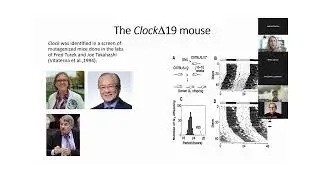 Translational Bipolar Research Rounds: Circadian Genetics and Bipolar Disorder
