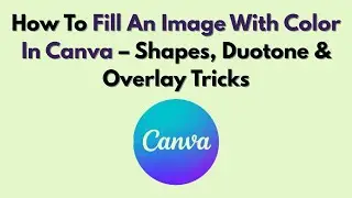 Как заполнить изображение цветом в Canva: фигуры, дуплекс и наложение
