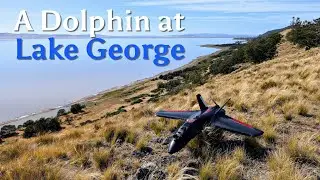 A Dolphin at Lake George! (solo morning FPV flight - long edit)