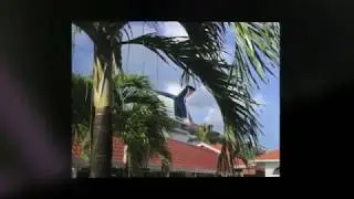 Carnival Fascination ~ St. Lucia 02/22/18 Waterfall Hunting
