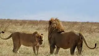 Maasai Tours... A Future In the Making