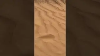 #scary #storm #sandstorm #dubai #desertlifestyle #love #family #emirates #facts #luxury #money