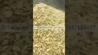 pumpkin seed collecting machine pumpkin seed collector pumpkin seeds harvester