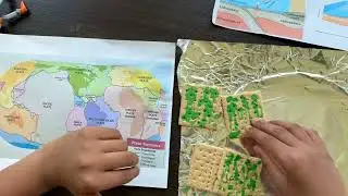 Plate Boundary Movements: Convergent, Divergent and Transform