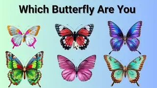 Take This Butterfly Quiz and Discover Your True Personality! #quiz #prefer #test