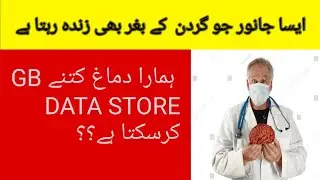 Animal alive without head// How many GB can our brain store.. //