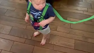 Lehoo Castle Toddlers Leash for Walking + Key Lock Design Anti Lost Wrist Link