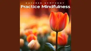 Discipline Zen