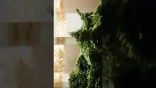 Tiny fern forest for impatient