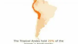 Biodiveristy in Peru - SPDA
