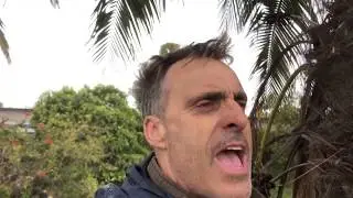 The Cold Hardy Coconut