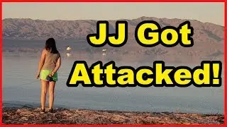 Исследование Солтон-Си | На Джей-Джея напали!