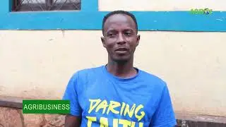 Inkware: ubworozi butamenyerewe ariko umuti kuri diab&egrave;te