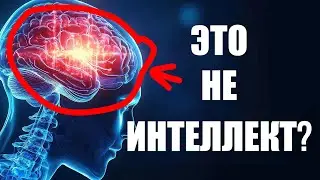 Вы не знали этого об ИНТЕЛЛЕКТЕ и IQ!