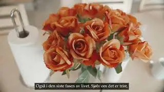 Sykepleiar i Volda kommune