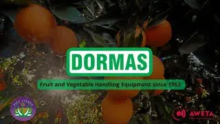 Dormas | Citrus handling equipment - Piet Citrus 2017 Lemons