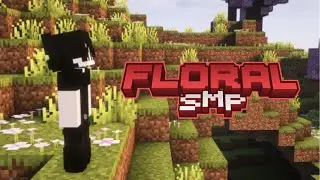 This Is Minecraft's Best SMP! [APPLICATIONS OPEN]