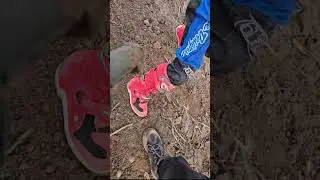 Rut training @179mx