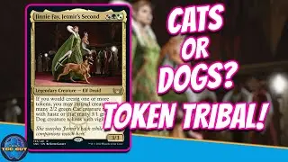 Jinnie Fey, Jetmir's Second EDH Token Tribal? || That TCG Guy || Magic The Gathering