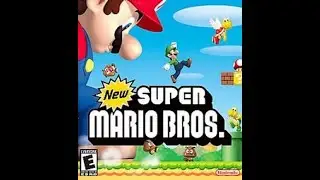 New Super Mario Bros 2 3