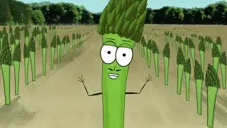 Groundwork Harvest of the Month: Jean-Yves the Asparagus