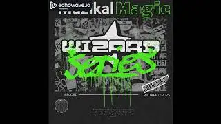 The Wizards Series vol1