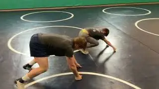 Gorilla Run