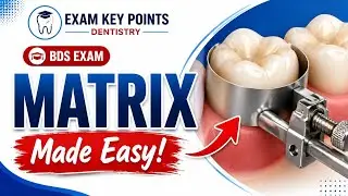 Matrix in Conservative Dentistry|BDS Exam Key Points|Easy English Explanation 
