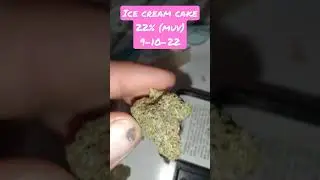 ice cream cake 22% (muv) 9-10-22