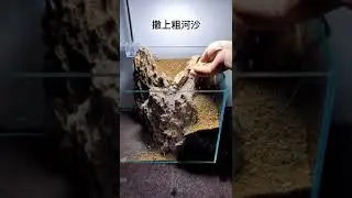都說烏龜缸造景不好看，我就給它造別墅？？#水景造景#苔蘚微景觀#微型盆景