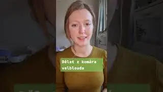 Идиомы на чешском #shorts #reels  #czech  #чешскийязык #идиоми   #lovestudying #studyfun