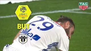 But Lucas TOUSART (89' csc) / Olympique Lyonnais - Angers SCO (2-1)  (OL-SCO)/ 2018-19