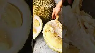 Sầu ri&ecirc;ng ri6 cuối m&ugrave;a #saurieng #durian #shortsfeed #viralvideo #foryou #xuhuongyoutube #trending