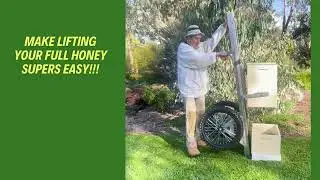 Superlift Hive Lifter