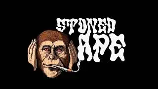 Stoned Ape - Fuzz Land (Instrumental)