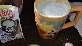 Atole coco coconut flavored on hot milk