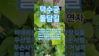덕수궁 돌담길  #김연자#진송남#트로트#1966진송남ㆍ최고히트인기애창곡
