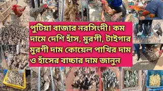 পুটিয়া বাজার নরসিংদী। হাঁস ও মুরগীর দাম জানুন  #subscribe#birds #viralvideo #chicken #duck #animals