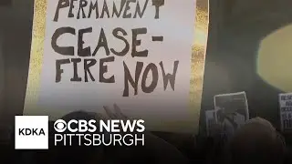 Protesters march through Pittsburgh in support of the Palestinian and Lebanese people