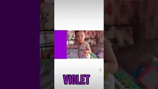 Color Finger Family by Baby Enzo | Find Colors #Shorts #YoutubeShorts