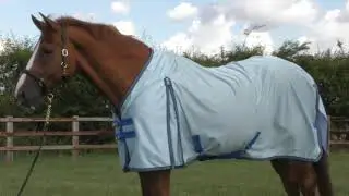 Premier Equine Mesh Air Fly Rug