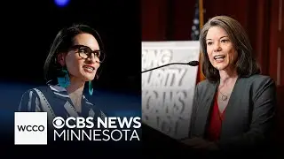 Minnesota senator race pits two DFL leaders against each other