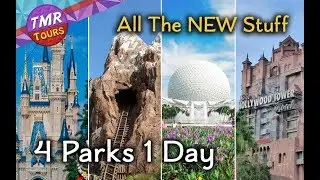 4 парка за 1 день в Walt Disney World | Все четыре парка Disney за один день