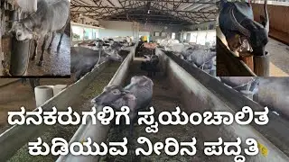 Dairy farm DRINKING water system in very low BUDGET. simple & usefull