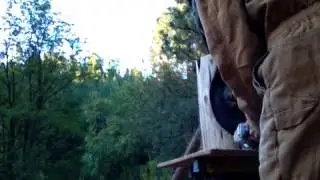 1/5 Chainsaw carving, paint/sand real time