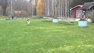 Budf&ouml;ring